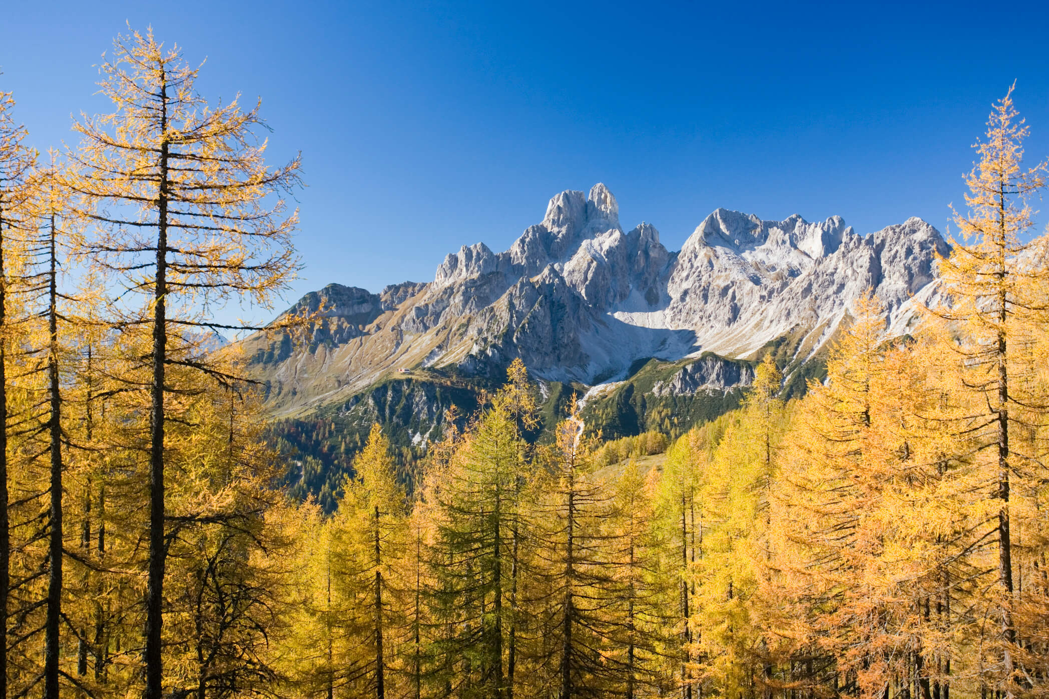 der goldene Herbst in Filzmoos